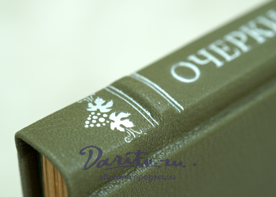 Очерки современной Италии М.Осоргин.Антикварная книга 1913г.