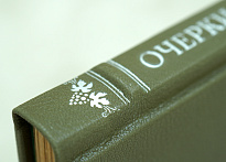 Очерки современной Италии М.Осоргин.Антикварная книга 1913г.