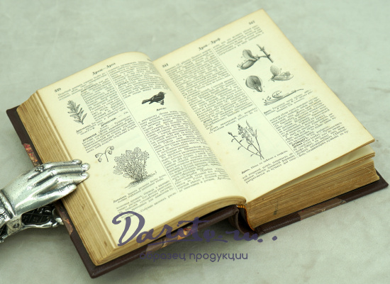 Иллюстрированный словарь.Общеполезных сведений.Антикварная книга 1898г.