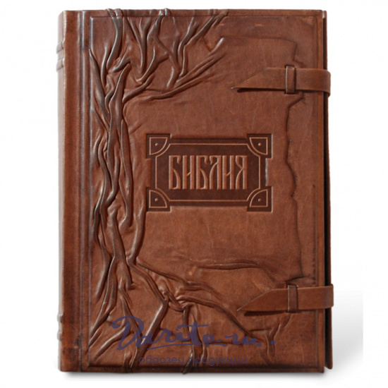 Книга «Библия»