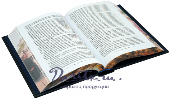 Книга «Поющие в терновнике»