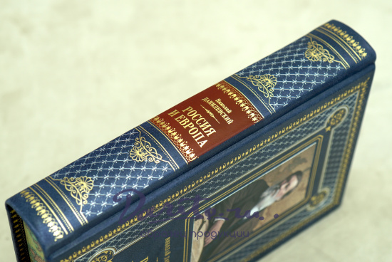 Книга «Россия и Европа»