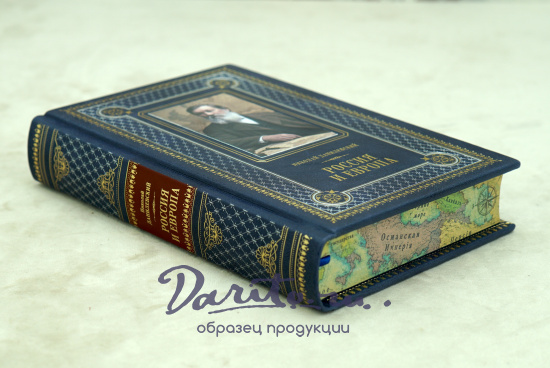 Книга «Россия и Европа»